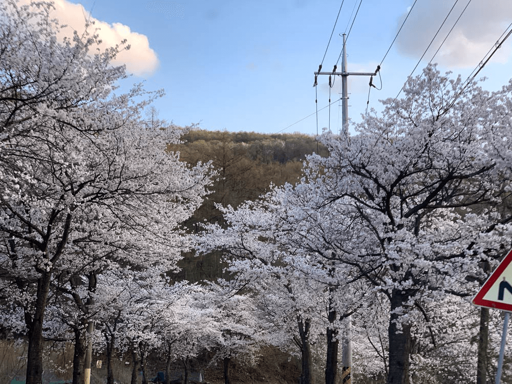 프로듀스X덕산누리마을, 내 손으로 만들어가는 농촌생활 (농촌살아보기)