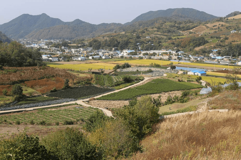 프로듀스X덕산누리마을, 내 손으로 만들어가는 농촌생활 (농촌살아보기)
