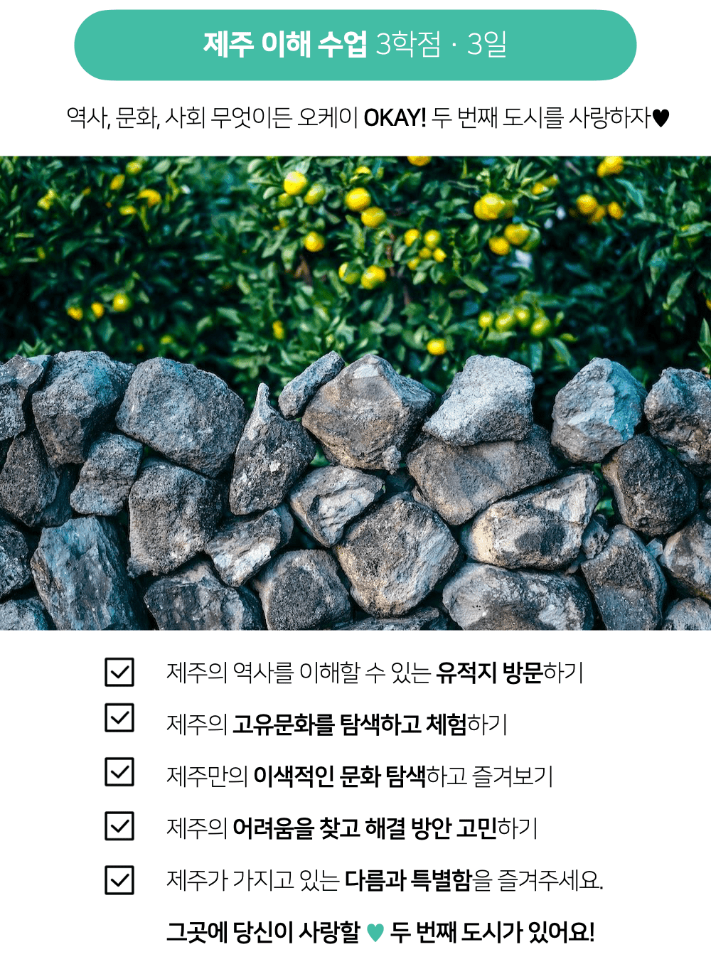 제주여행 항공권, 호텔, 장학금 지원받고 3주살기 - 2024 제주도시대학 Break year (갭이어)