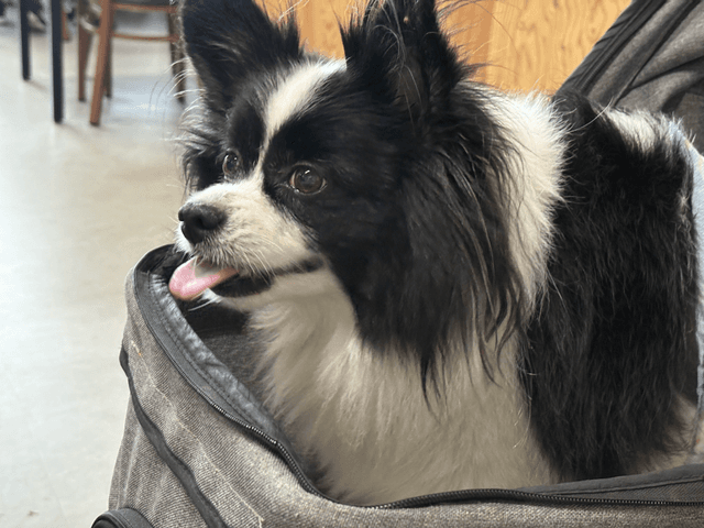 개천절 태안 후기-2