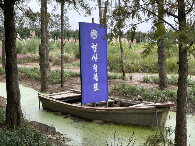 개천절 태안 후기-5