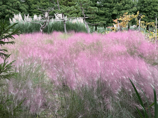 개천절 태안 후기-6