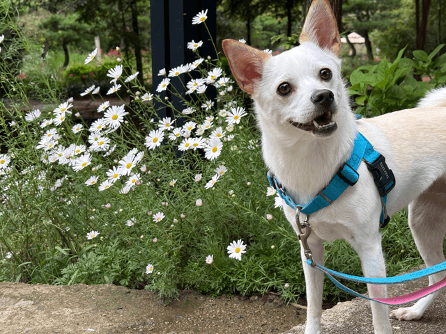 개천절 태안 후기-7