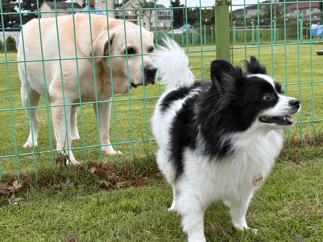 개천절 태안 후기-10